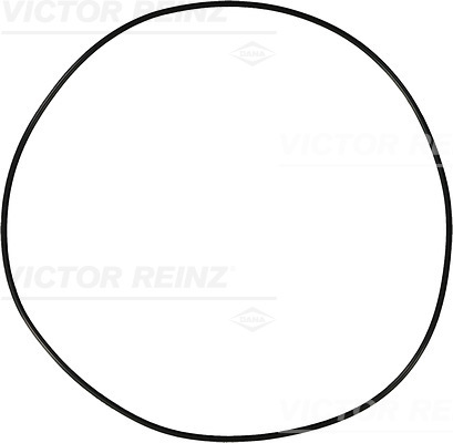 Reinz Afdichtring 40-76910-10