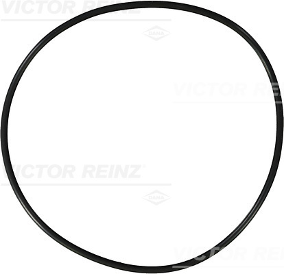 Reinz Afdichtring 40-76929-10