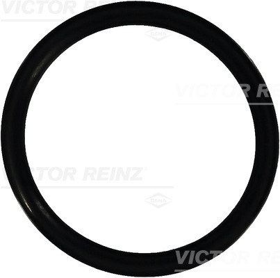 Reinz Afdichtring 40-76933-10