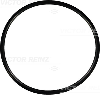 Reinz Afdichtring 40-76960-00