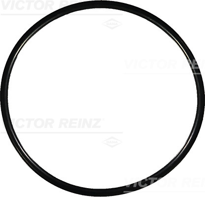 Reinz Afdichtring 40-76964-00