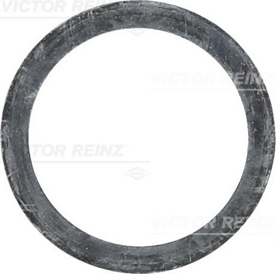 Reinz Afdichtring 40-77089-00