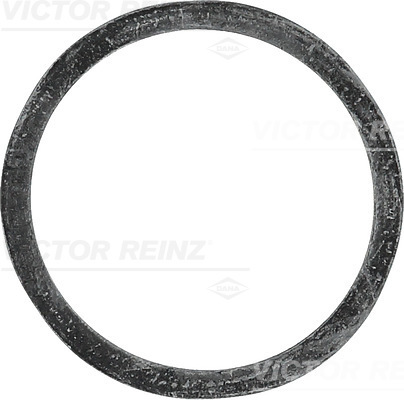 Reinz Afdichtring 40-77339-00