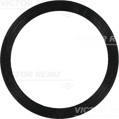 Reinz Afdichtring 40-77488-00