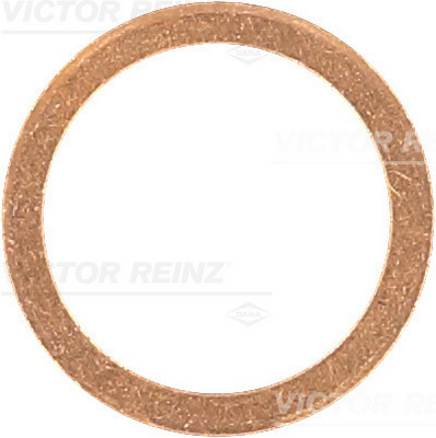 Reinz Afdichtring 41-70191-00