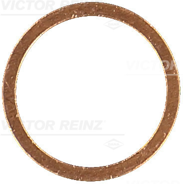 Reinz Afdichtring 41-70253-00