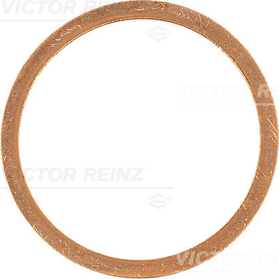 Reinz Afdichtring 41-70322-00