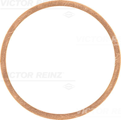 Reinz Afdichtring 41-70352-00