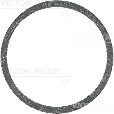 Reinz Afdichtring 41-71093-00