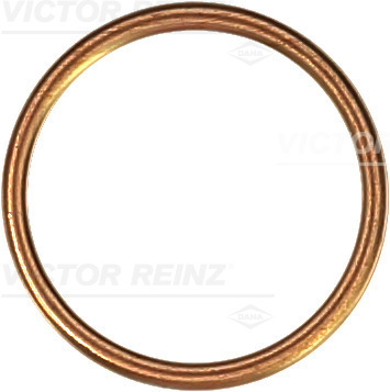 Reinz Afdichtring 41-72045-30