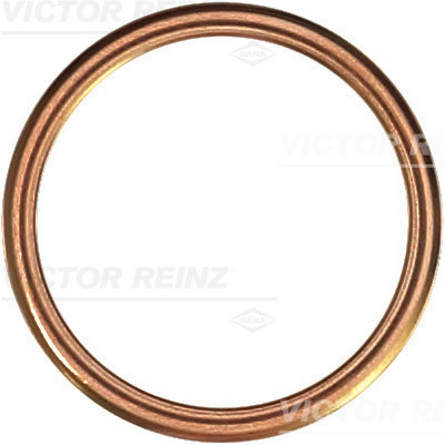 Reinz Afdichtring 41-72053-30