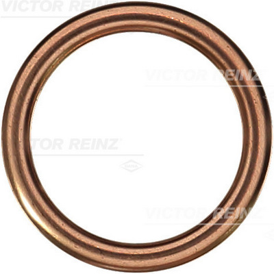 Reinz Afdichtring 41-72060-30