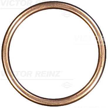 Reinz Afdichtring 41-72071-30