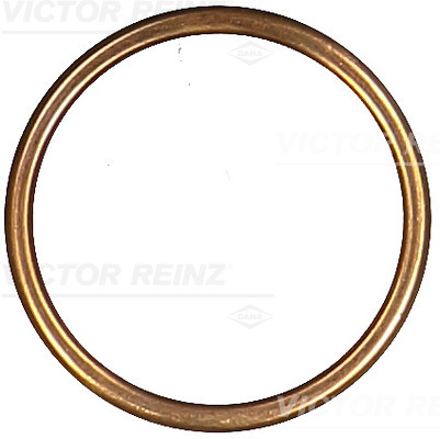 Reinz Afdichtring 41-72081-30