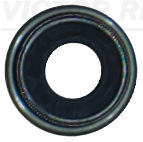 Reinz Klepsteeldichting 70-21975-00