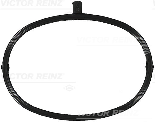 Reinz Pakking/ Afdichting 71-17173-00