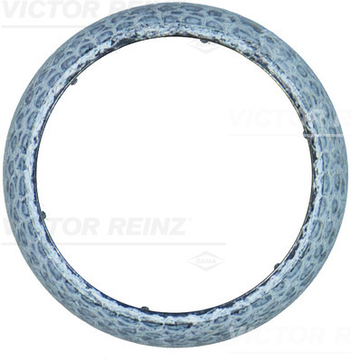 Reinz Pakking, uitlaatpijp 71-23592-00
