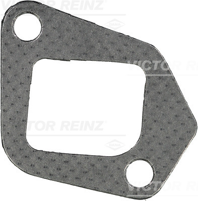Reinz Inlaatspruitstukpakking 71-41618-00