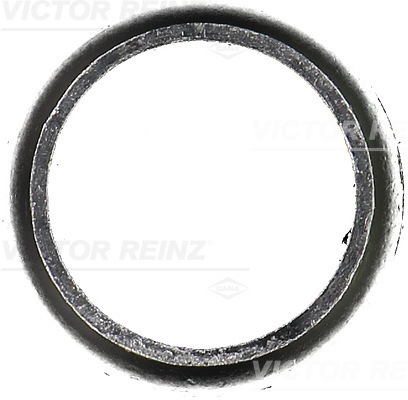 Reinz Uitlaatpakking 71-52844-00