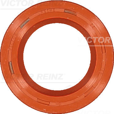 Reinz Nokkenas keerring 81-15377-20