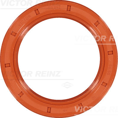 Reinz Krukaskeerring 81-25789-00