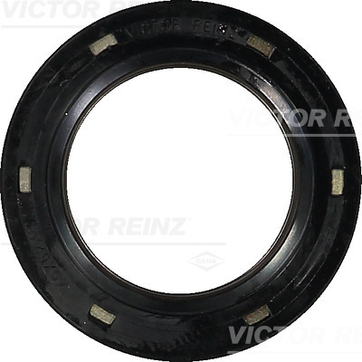 Reinz Krukaskeerring 81-35035-00