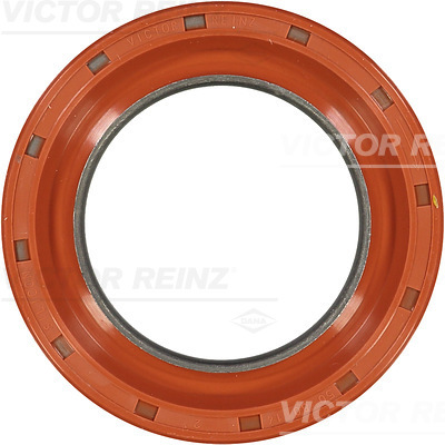 Reinz Krukaskeerring 81-37601-00