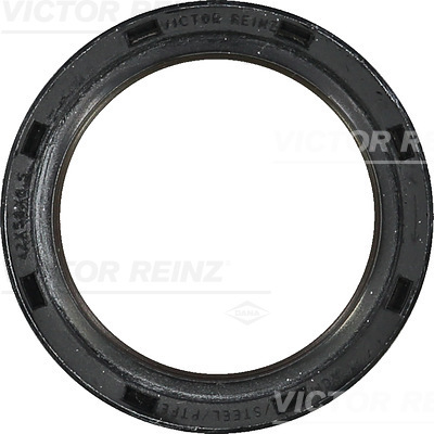 Reinz Krukaskeerring 81-38529-00