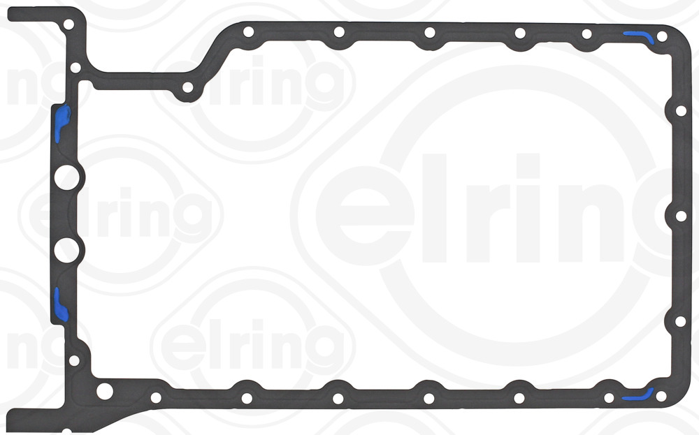 Elring Carter pakking 009.087