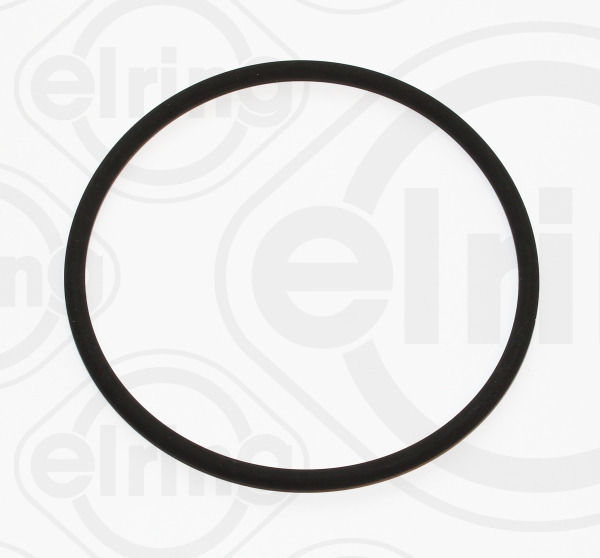 Elring Afdichtring 008.250