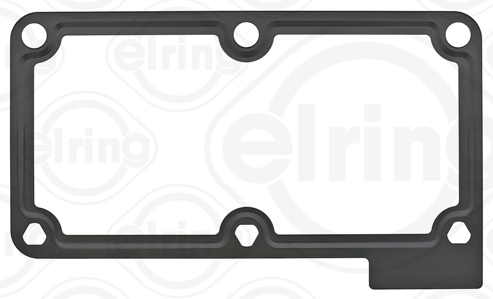 Elring Inlaatspruitstukpakking 165.710