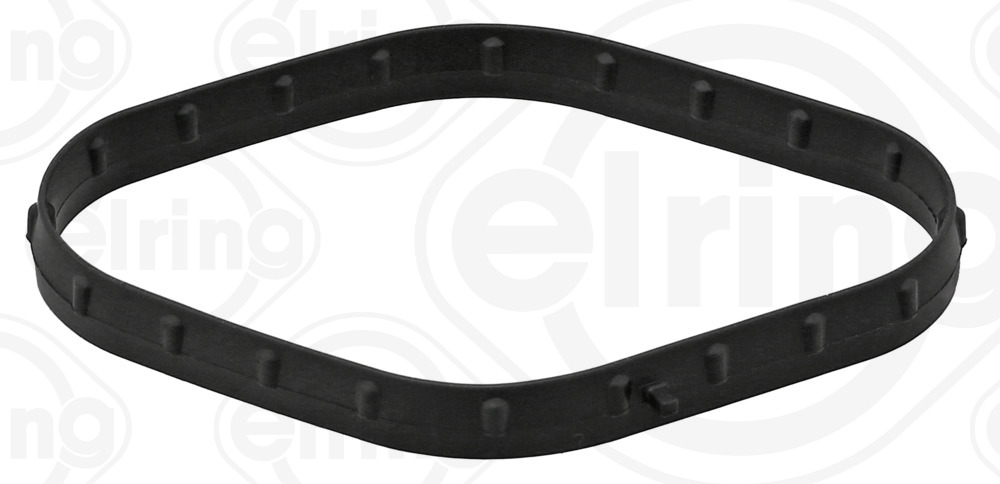 Elring Brandstofpomp pakking 856.640