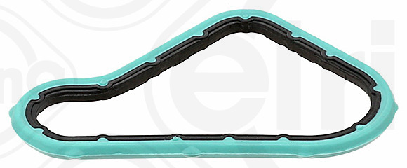 Elring Carter pakking 924.480