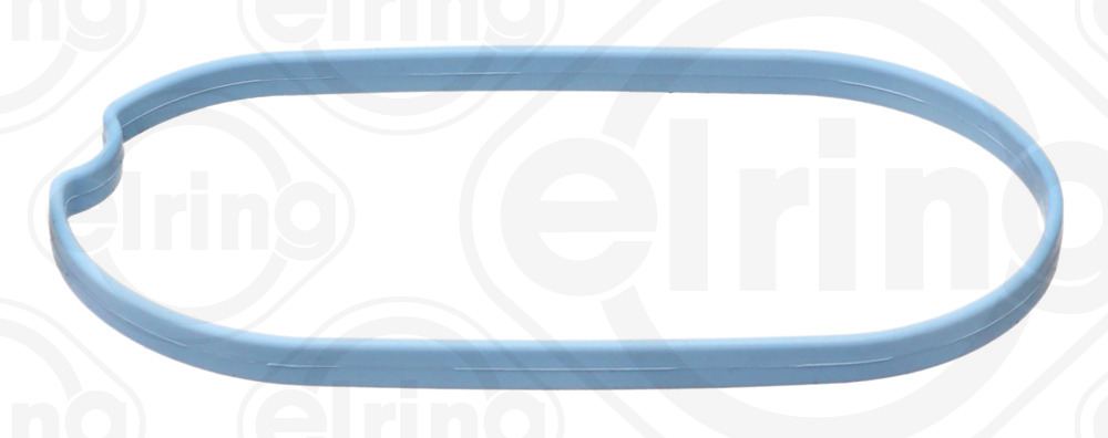 Elring Pakking, inlaatspruitstuk omkasting B19.290