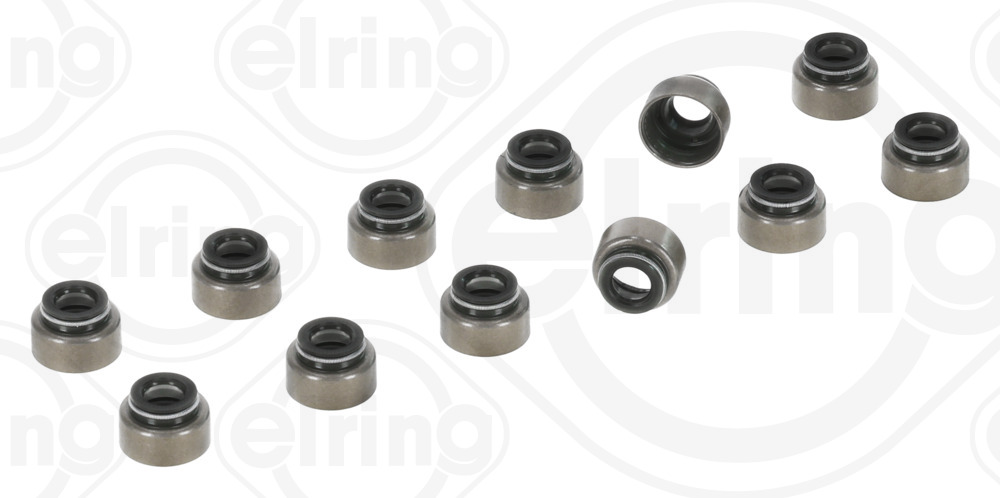 Elring Klepsealset B33.220