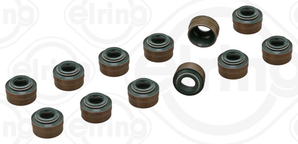 Elring Klepsealset B47.270
