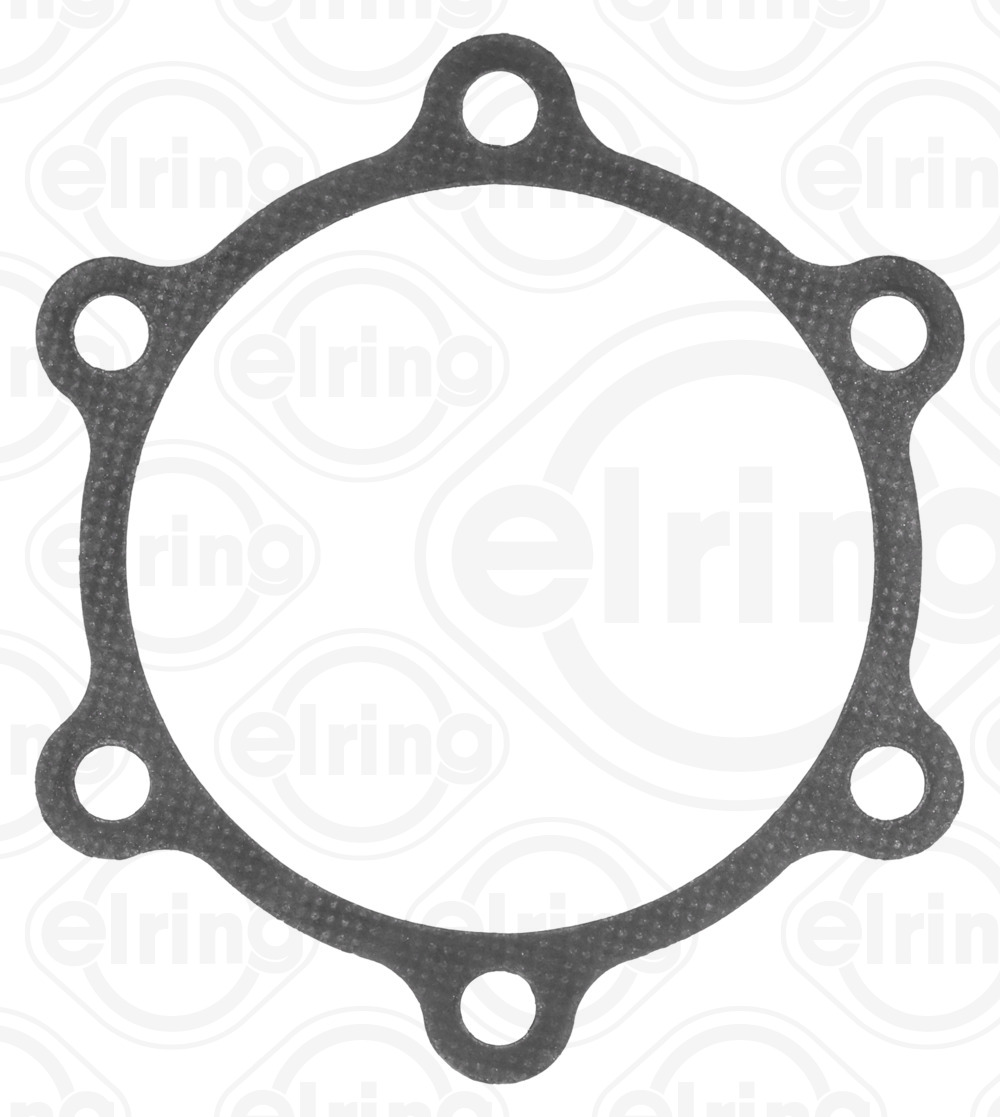Elring Pakking, inlaatspruitstuk omkasting B51.970