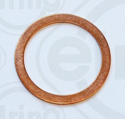 Elring Afdichtring 318.787