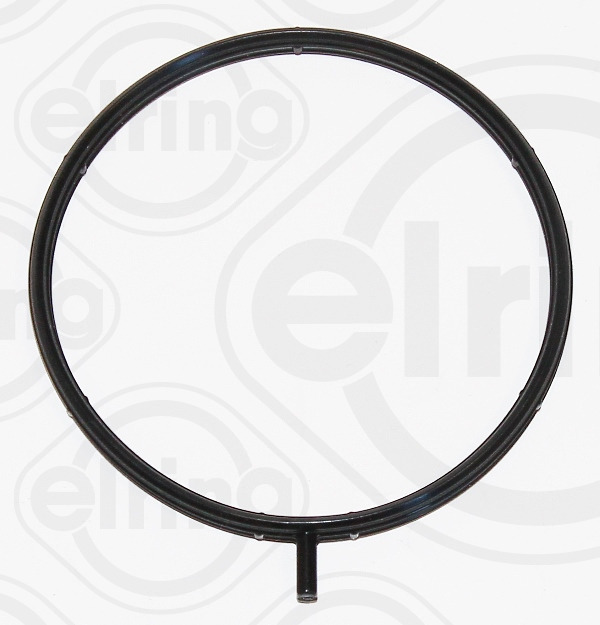 Elring Pakking, inlaatspruitstuk omkasting 631.850