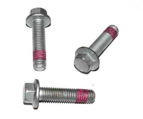 Elring Schroef 729.621