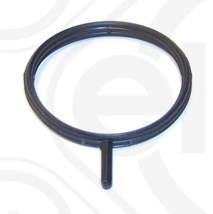 Elring Pakking, inlaatspruitstuk omkasting 747.420