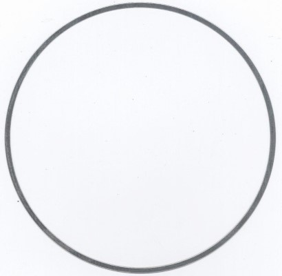 Elring Pakking 896.455