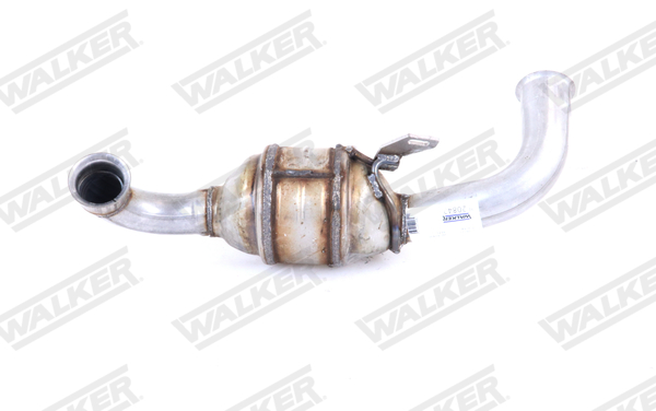 Walker Katalysator 20842