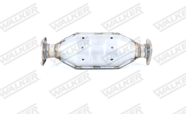 Walker Katalysator 28825