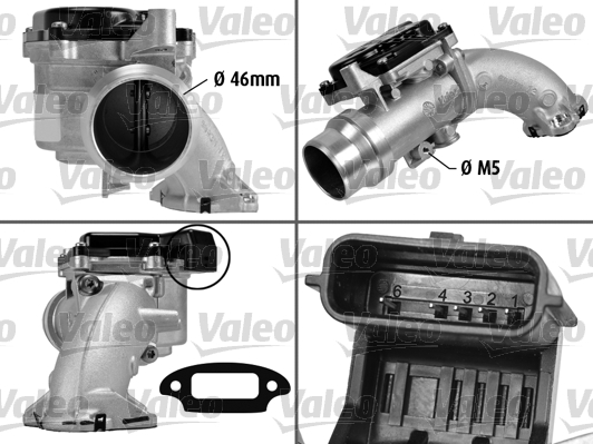 Valeo Gasklephuis 700429