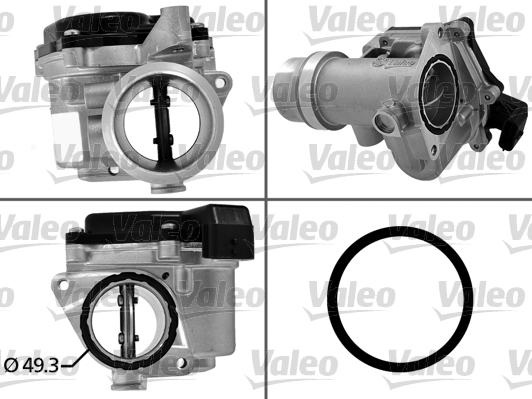 Valeo Gasklephuis 700450