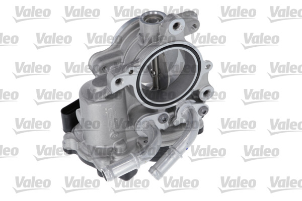 Valeo Gasklephuis 700468