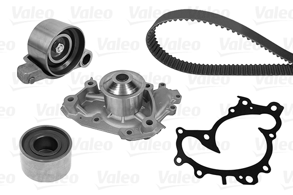 Valeo Distributieriem kit inclusief waterpomp 614673