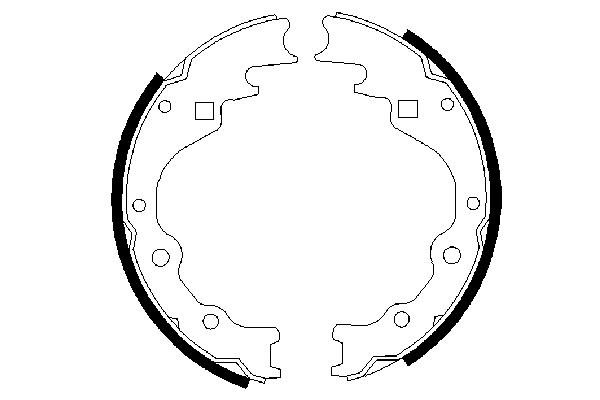 Bosch Remschoen set 0 986 487 359