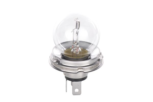 Bosch Gloeilamp 1 987 302 421